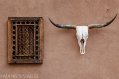 Window and Skull