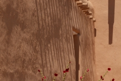 San Francisco de Asis 6