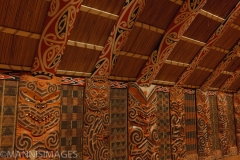 Maori art