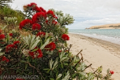 Bay of Islands 2
