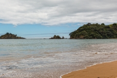 Bay of Islands 3