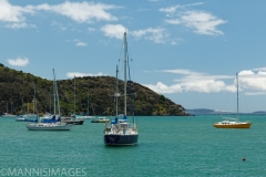Manganui Harbor