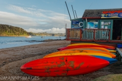 Paihia