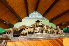 Agrodome