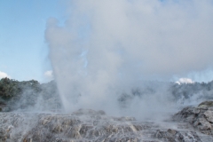 Te Puia Geyser