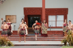 Maori Troupe