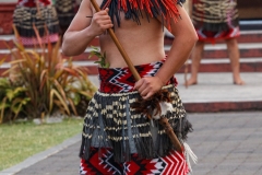 Maori Warrior 1