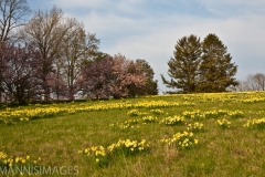 Shaw Nature 12
