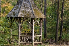 Shaw Nature 18