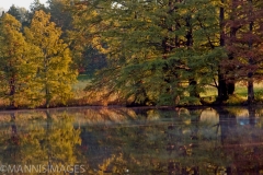 Shaw Nature 2