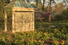 Shaw Nature 21