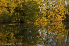 Shaw Nature 3