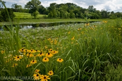 Shaw Nature 4