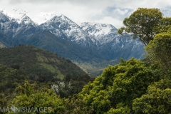 South Island Scenic 1