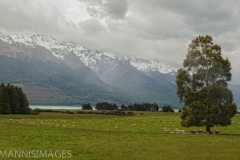 Sheep Ranch 2