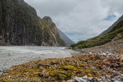 Fox Glacier Valley