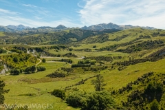 Road to Punakaiki