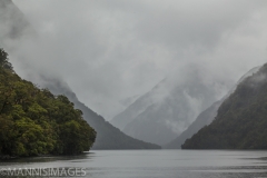 Doubtful Sound 1