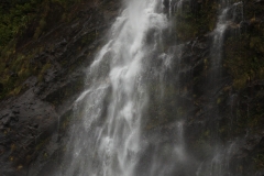 Kayakers Doubtful Sound 3