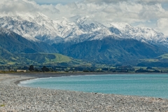 Kaikoura 1