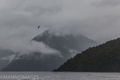 Doubtful Sound 4