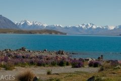 Lake Tekapo