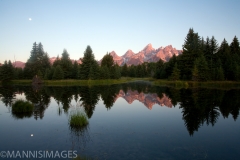 Schwabacher 1