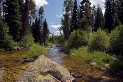 Teton Creek
