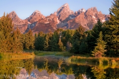Schwabacher 2