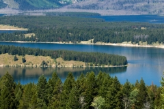 Oxbow Bend 5