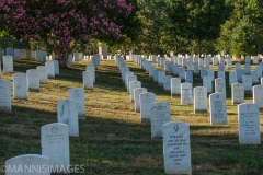 Arlington Cemetary