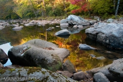 Stream Reflections 2