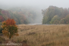 Foggy Highway