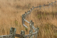 Fence
