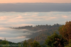 Sunrise Fog 2