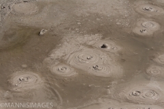 Mud Pot 1