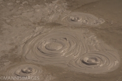 Mud Pot 2