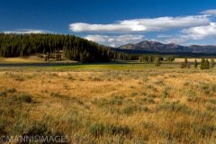 Hayden Valley 1
