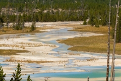Yellowstone 2
