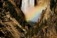 Lower Falls