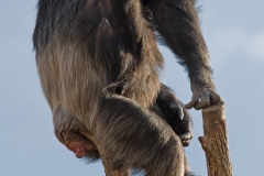 What's Out There